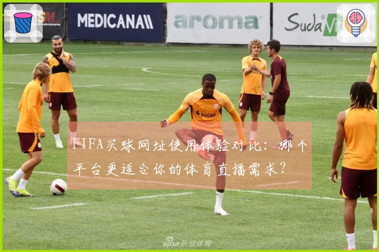 FIFA买球网址使用体验对比：哪个平台更适合你的体育直播需求？